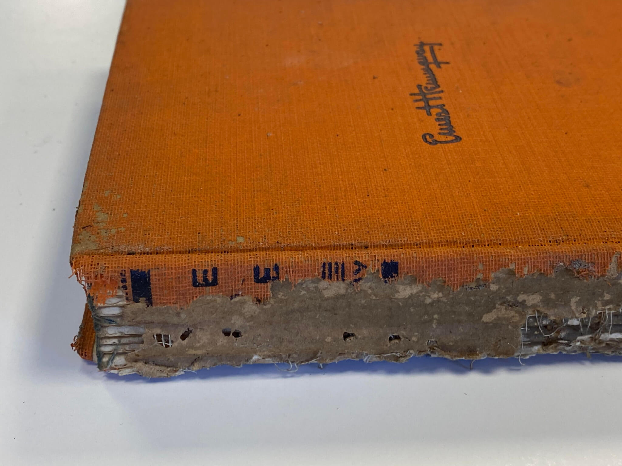 Ernest hemingway book restoration insect damage silverfish damage to spine book restoration artifact chicago restoration artifact services chicago