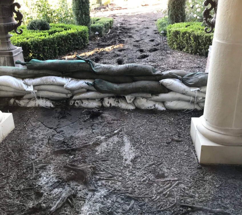 Recovery of Water Damaged Collections
