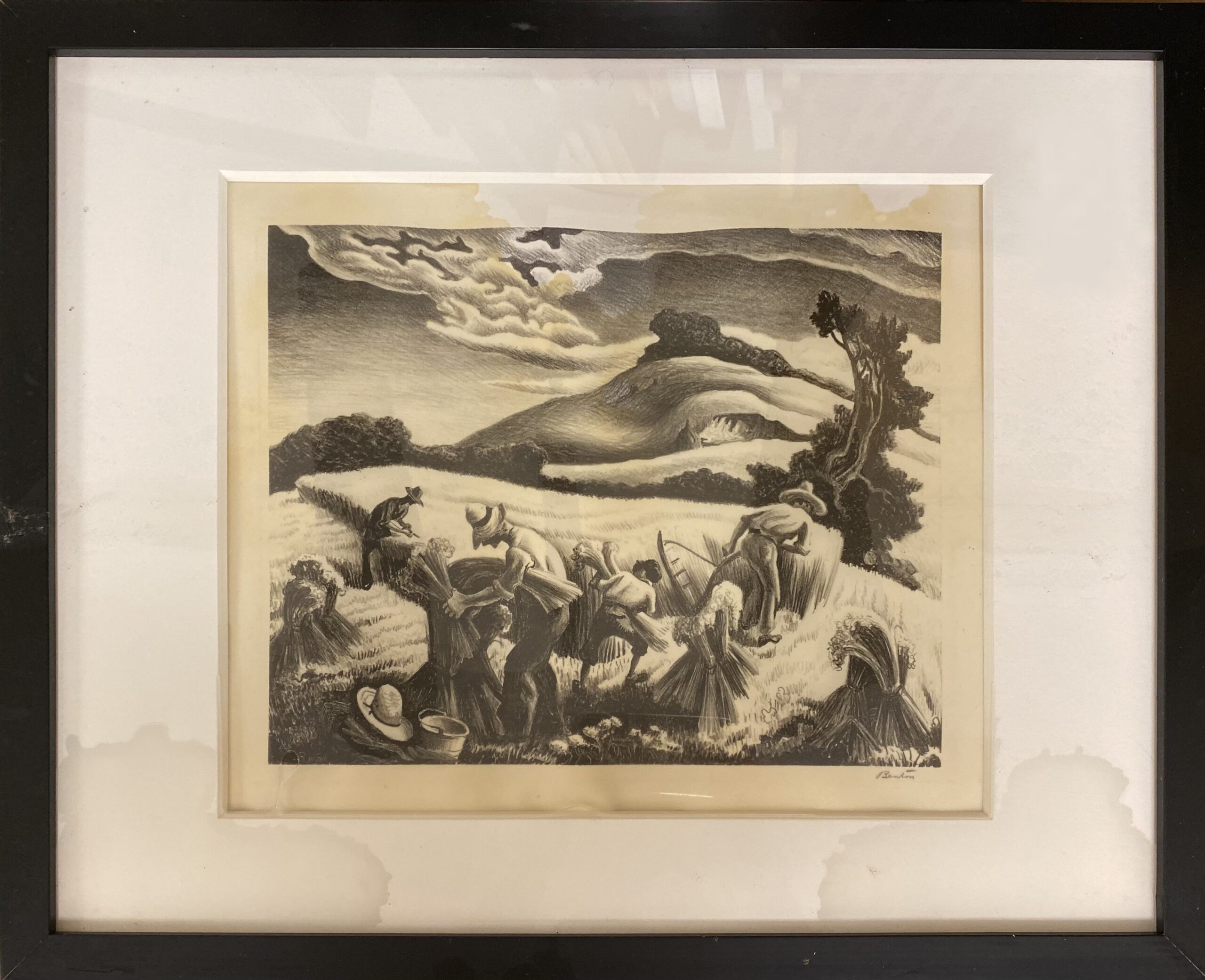 A Thomas Hart Benton lithograph entitled Cradling Wheat from 1939 on white wove paper in a black frame and white mat depicting farmers working in a field of wheat with a background of hills, trees and sky showing water damage with staining and distortion before conservation treatment