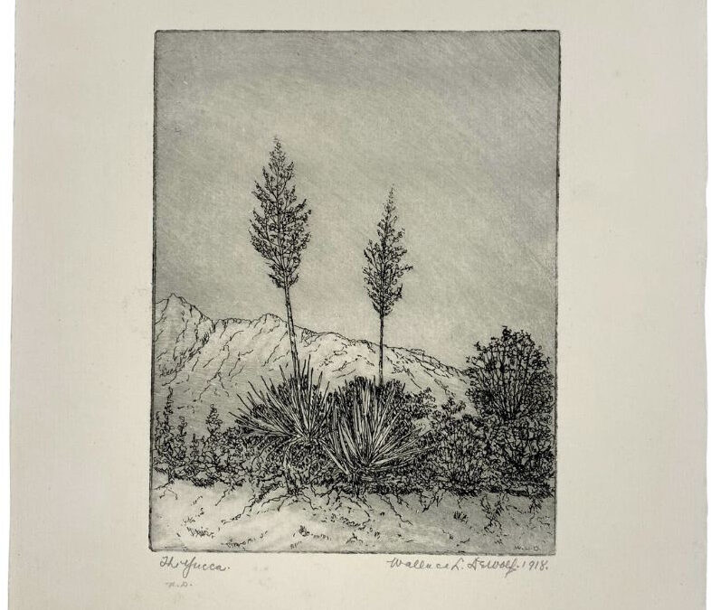 Paper Conservation and Water Damage Treatment: The Yucca by Wallace DeWolf